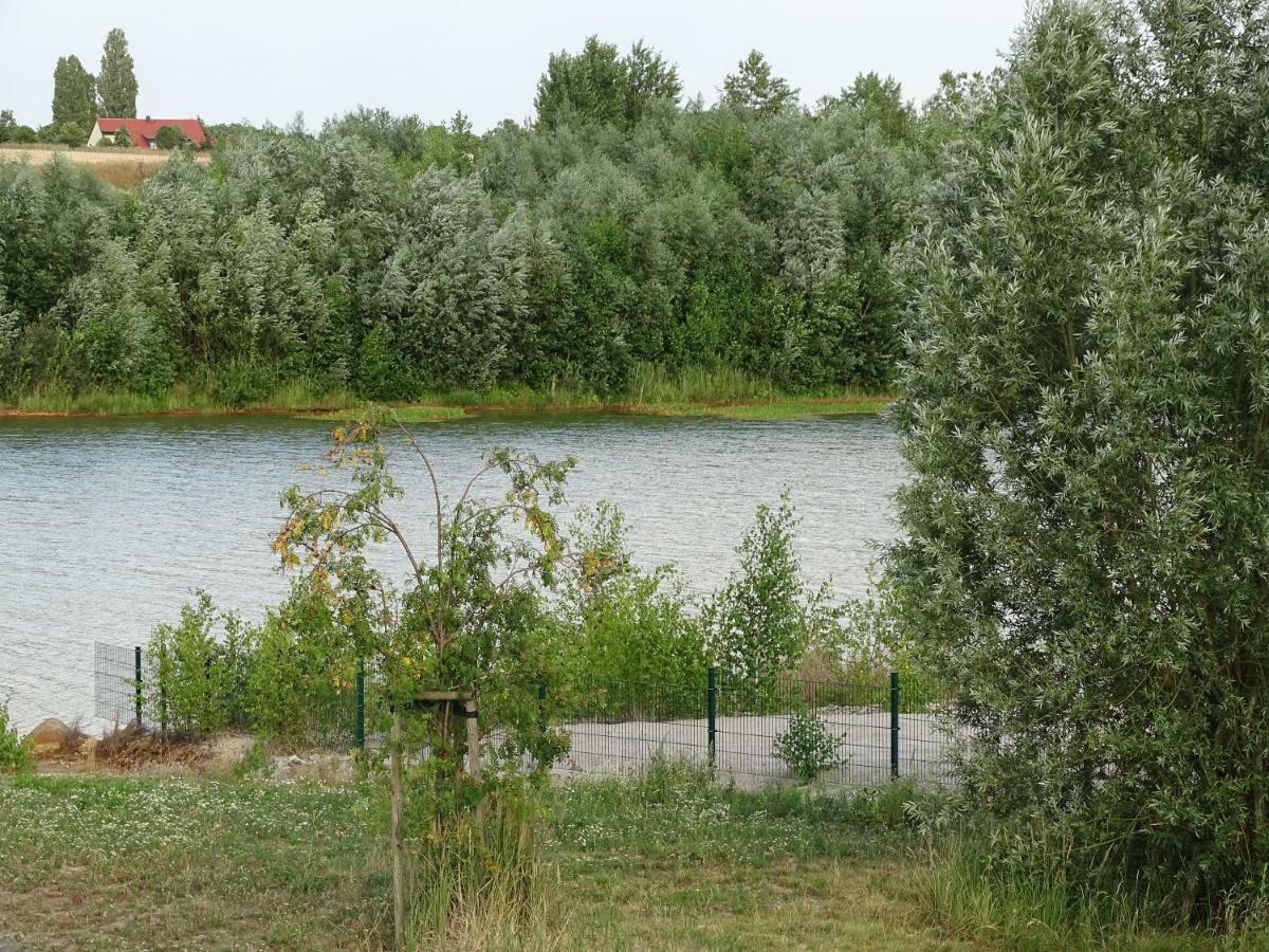 Ferienwohnung Feriendomizil am Störmthaler See, Lagovida, Leipziger Neuseenland, Großpösna, Sauna mit Seeblick Exterior foto