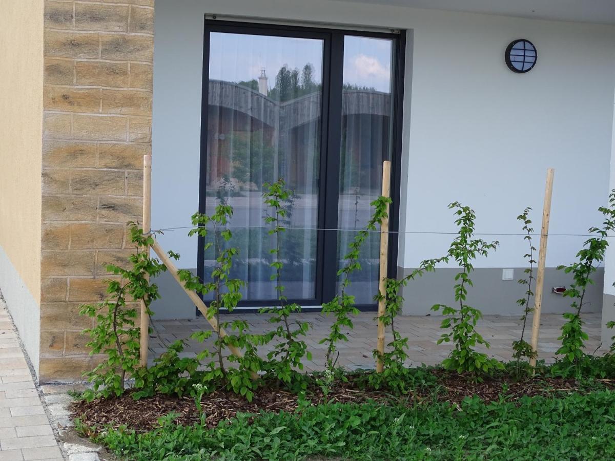 Ferienwohnung Feriendomizil am Störmthaler See, Lagovida, Leipziger Neuseenland, Großpösna, Sauna mit Seeblick Exterior foto