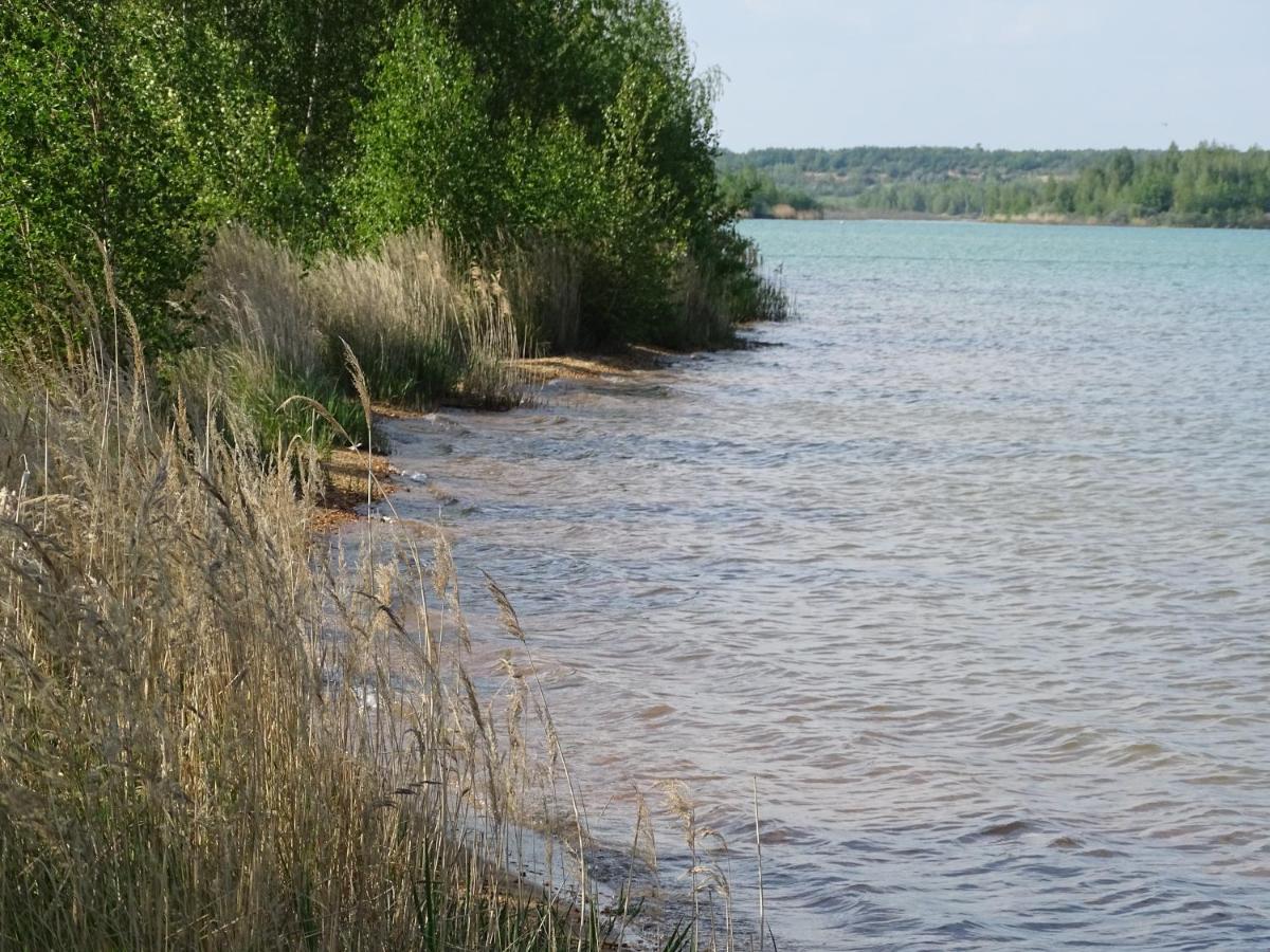 Ferienwohnung Feriendomizil am Störmthaler See, Lagovida, Leipziger Neuseenland, Großpösna, Sauna mit Seeblick Exterior foto